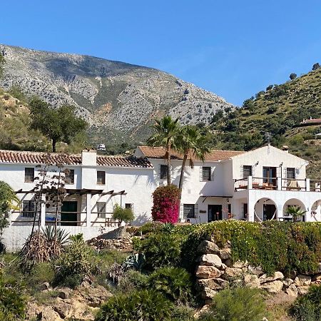 Cortijo Las Palmeras El Chorro Alora Exterior photo
