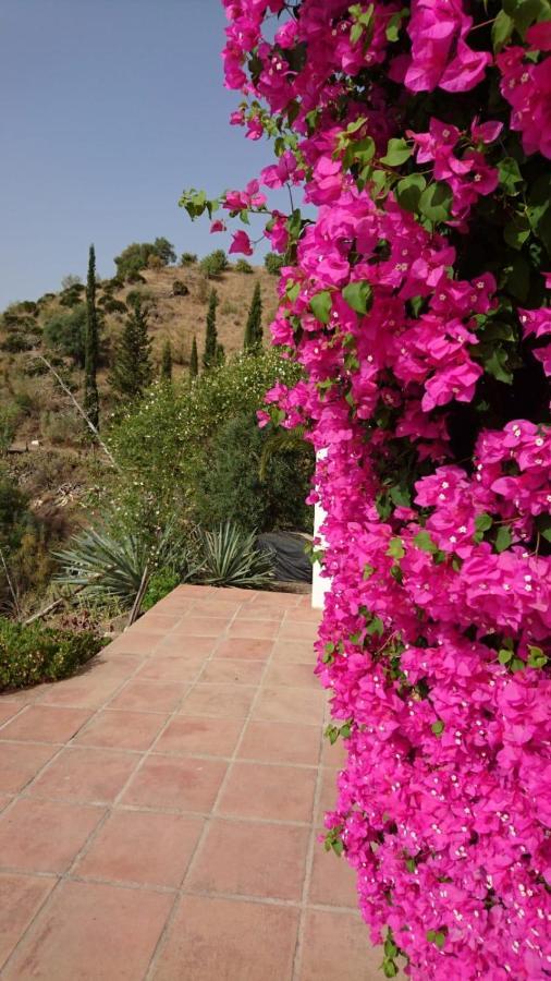 Cortijo Las Palmeras El Chorro Alora Exterior photo